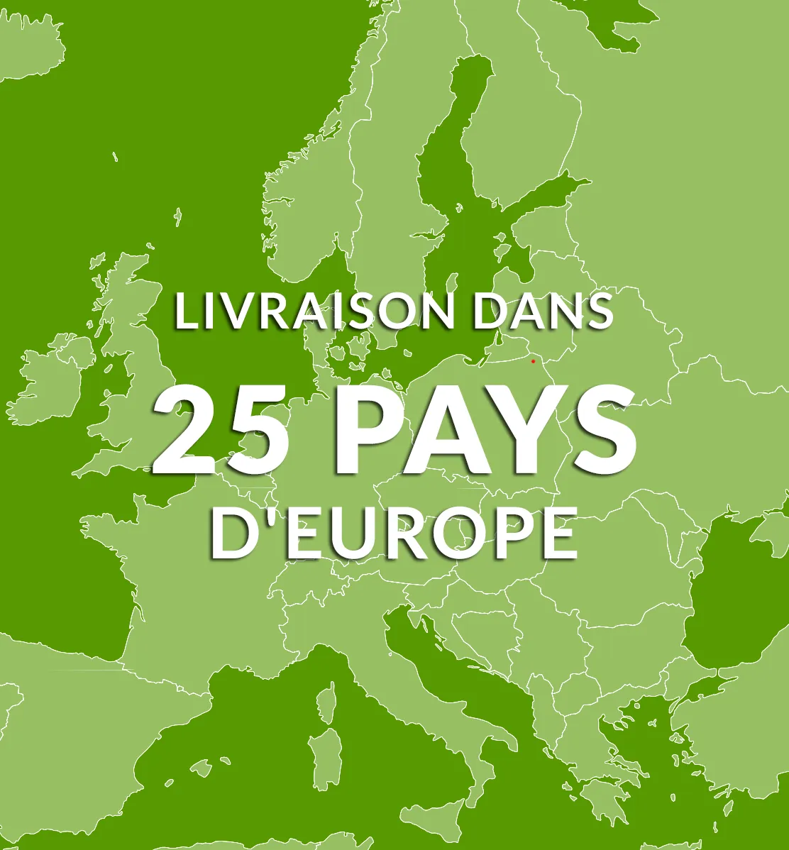 Nous livrons des jantes dans 25 pays européens.