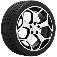 ROUES 16 Été FORD TRANSIT CONNECT II Goodyear 215/55 R16