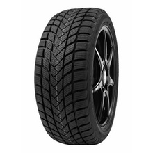 Pneus Delinte WD6 MFS 195/45 R16 84H