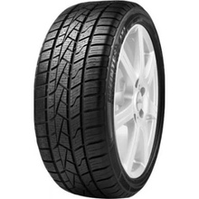 Pneus Delinte AW5 165/70 R13 79T