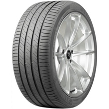 Pneus Delinte DS2 XL 215/50 R17 95W