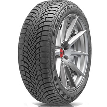 Pneus Maxxis PREMITRA SNOW WP-6 XL 255/40 R19 100W
