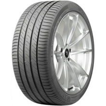 Pneus Delinte DS2 215/50 R17 95W